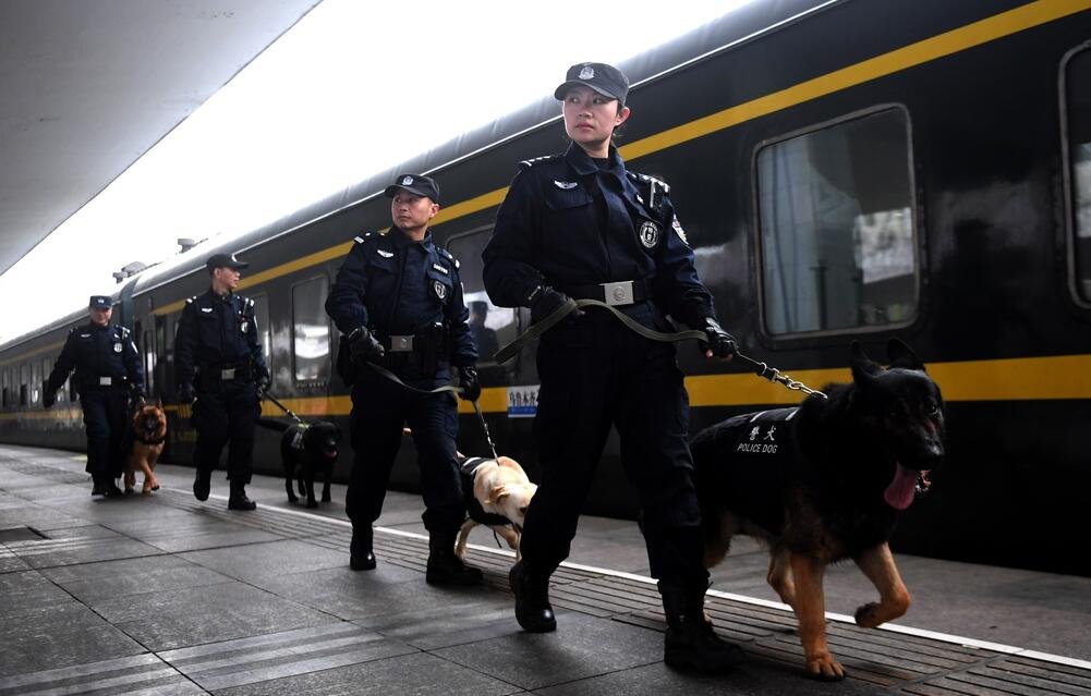 Un chien policier au service de la sécurité ferroviaire