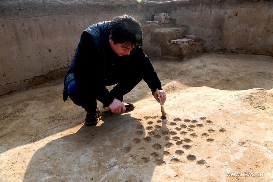 Le site de la ville antique de Zhenghan