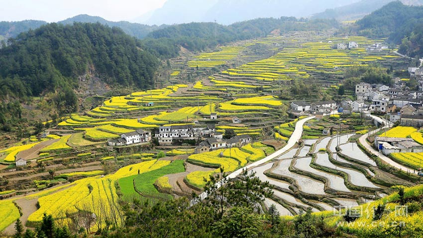 Préservation d'un village millénaire dans le sud de l'Anhui