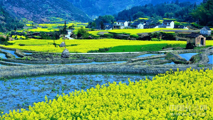 Préservation d'un village millénaire dans le sud de l'Anhui