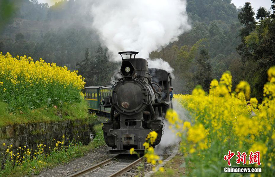 Des champs fleuris pour un beau voyage dans le temps