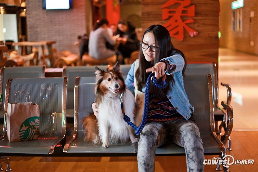 Xi’an : une séance de cinéma à partager avec son chien 