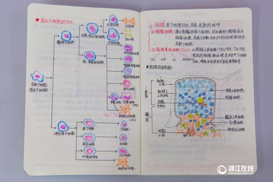 Les notes d'une étudiante en médecine font sensation sur le Net