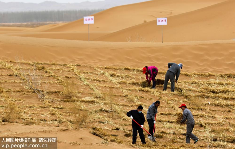 Le Gansu s’active dans la lutte contre la désertification