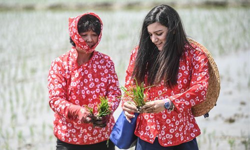 Riziculture : une expérience inédite pour une étudiante étrangère