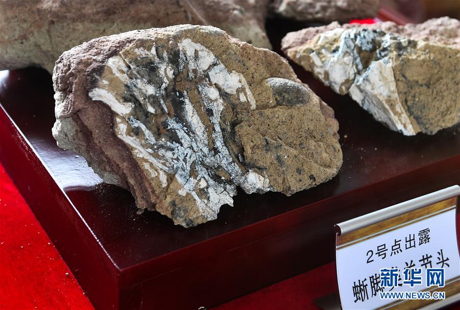 Fossiles de dinosaure : des fouilles continues dans le Jilin