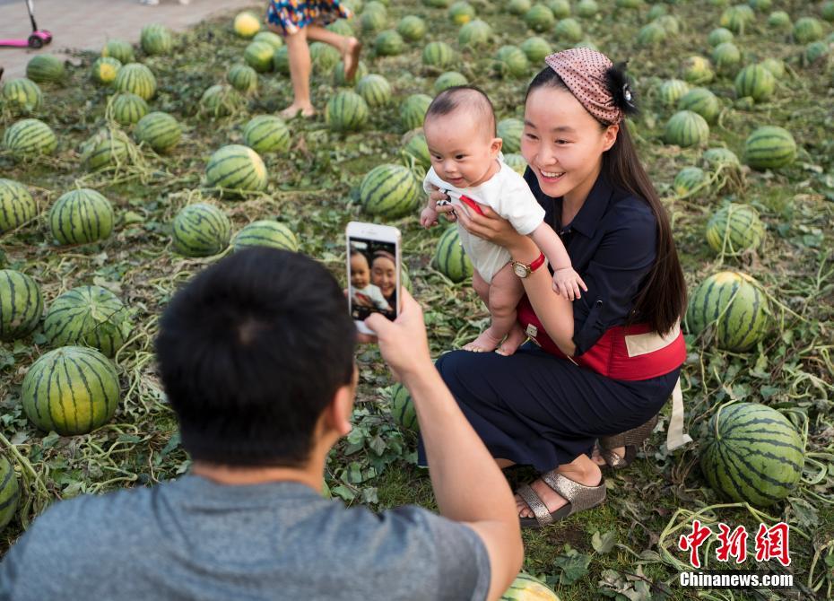 Des melons à l’Académie des beaux-arts de Beijing 