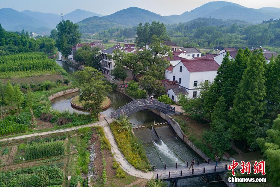 Liyang : sa forêt de bambous et ses maisons dans les arbres