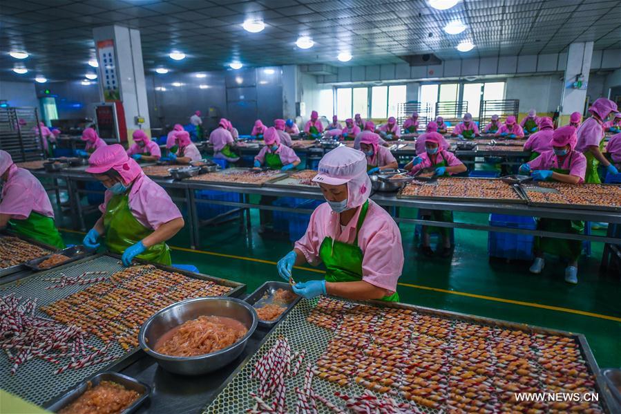 L'industrie des animaux domestiques de Wenzhou