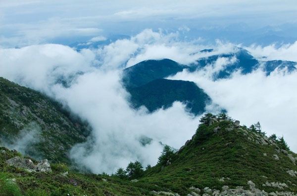 Plus de 100 visiteurs étrangers découvrent le Mont Taibai guidés par le maire de Baoji