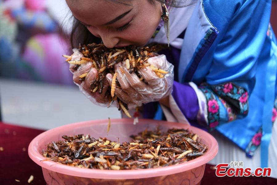 De l’or en barre pour manger des insectes  