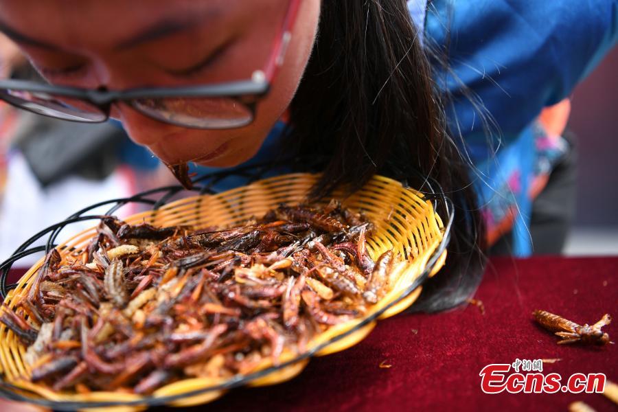 De l’or en barre pour manger des insectes  