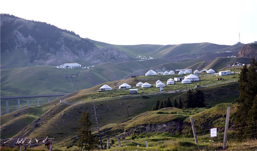 La transhumance des troupeaux dans le trafic routier