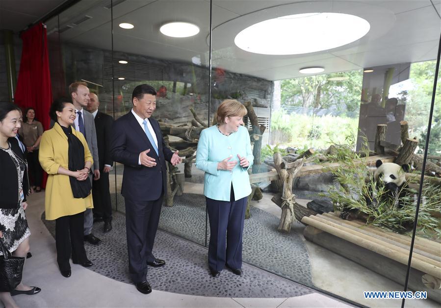 Xi Jinping et Angela Merkel inaugurent un Jardin des Pandas au zoo de Berlin