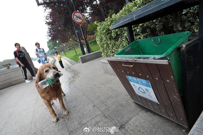 Suzhou : un célèbre agent d'entretien à quatre pattes