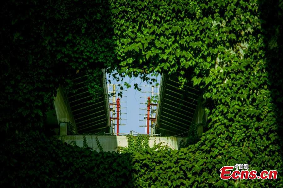 Un pont vert à Chengdu