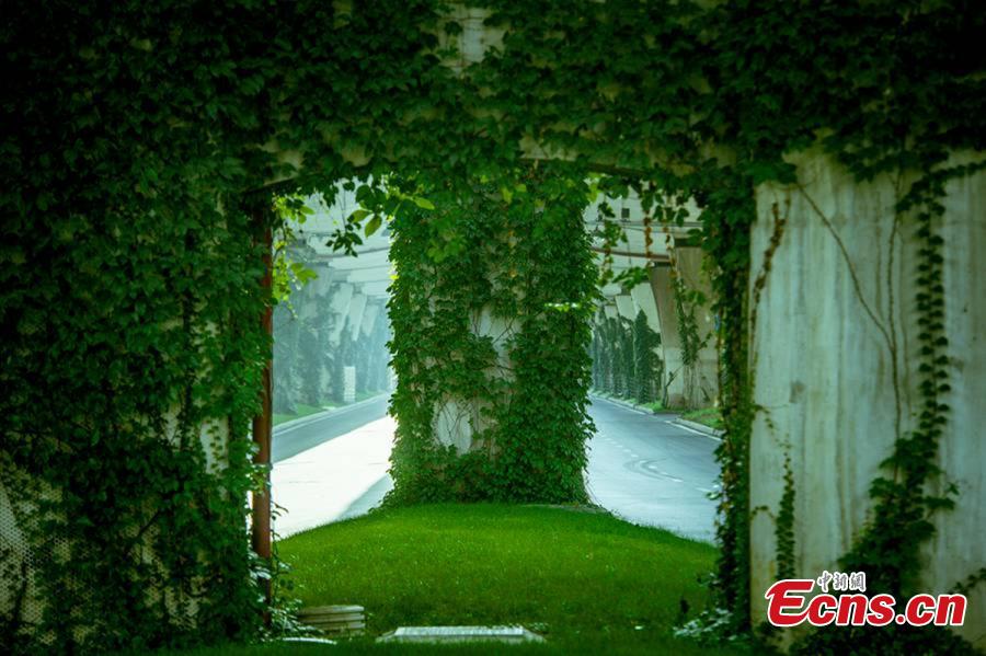 Un pont vert à Chengdu