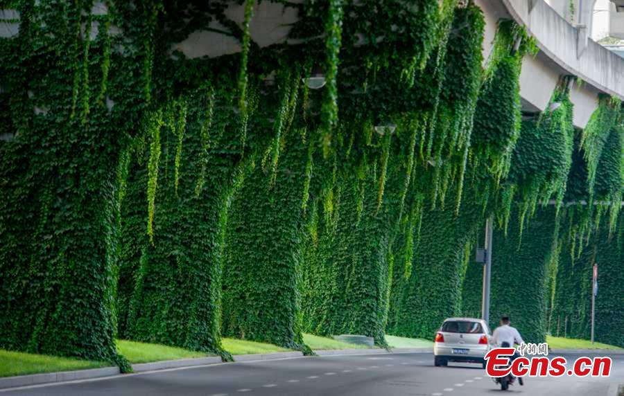 Un pont vert à Chengdu