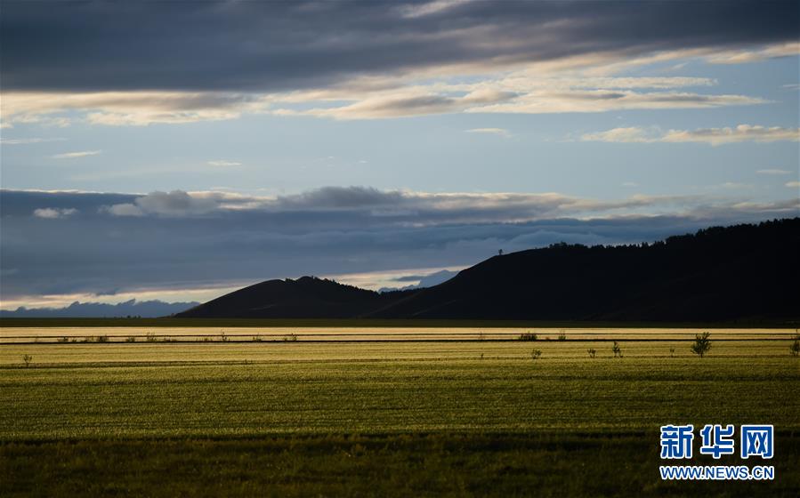 Les paysages estivaux de la prairie Hulunbuir