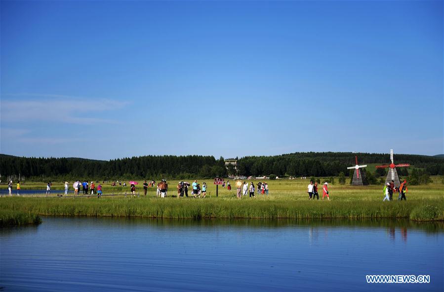 Hebei : la beauté du parc forestier national de Saihanba