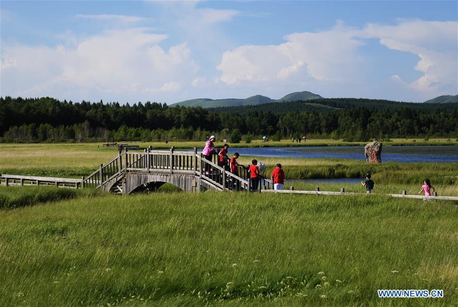 Hebei : la beauté du parc forestier national de Saihanba