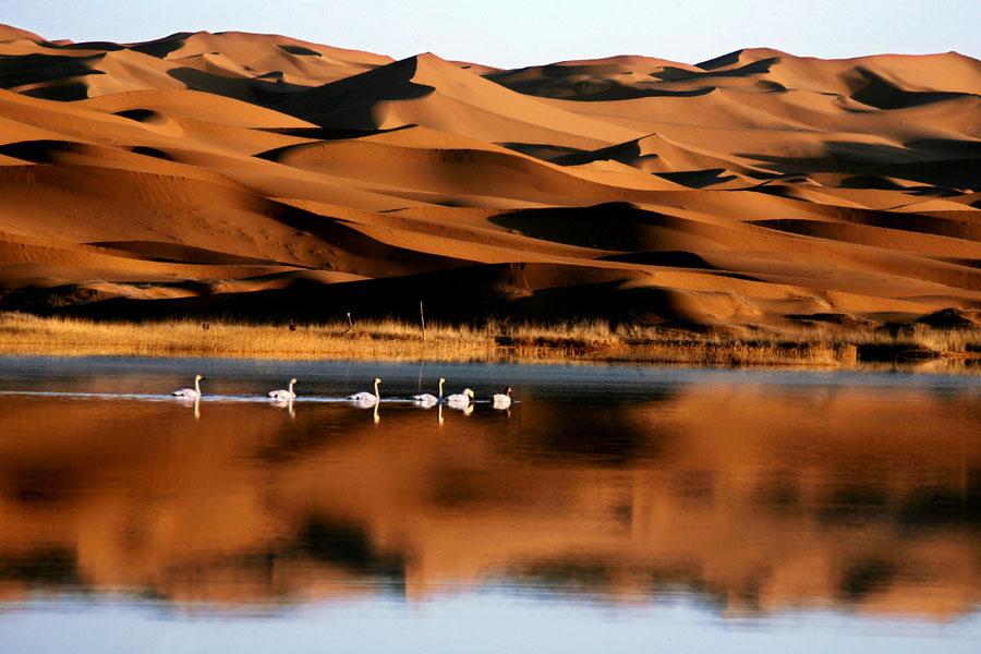 Alashan, la perle du nord-ouest de la Chine