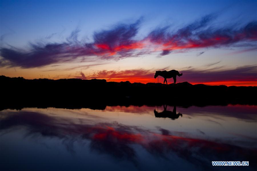 Paysage de la prairie de Barkol au Xinjiang