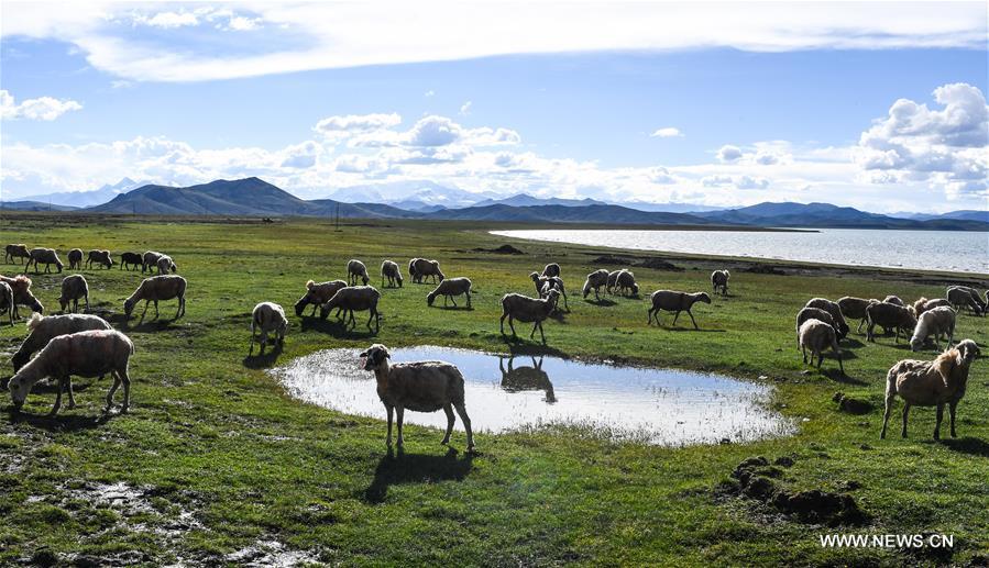 Chine : paysage du lac Yamzbog Yumco à Lhassa