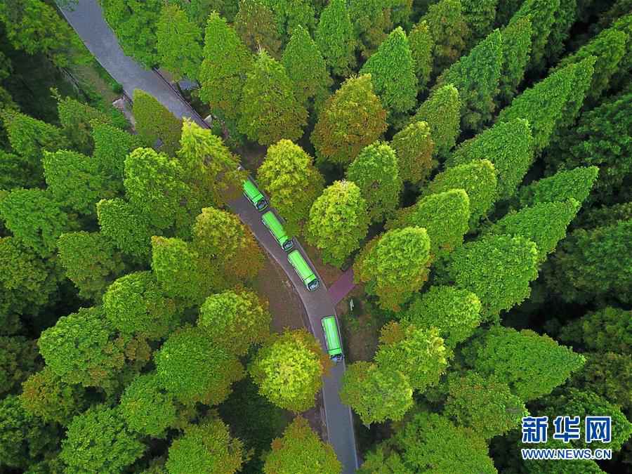 De superbes paysages au parc forestier national de la mer Jaune