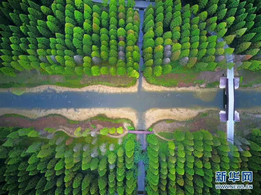 De superbes paysages au parc forestier national de la mer Jaune