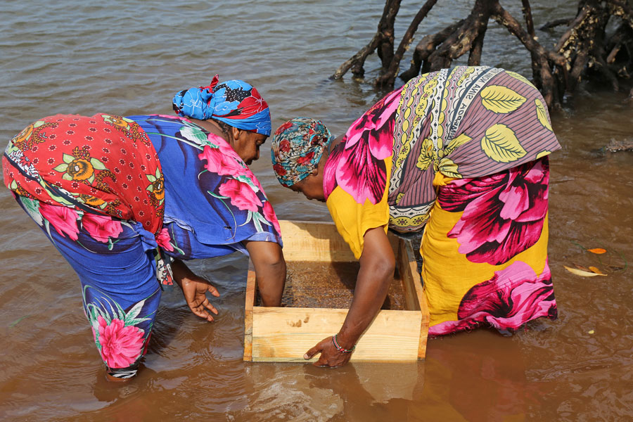 Découverte au Kenya de squelettes de sang chinois