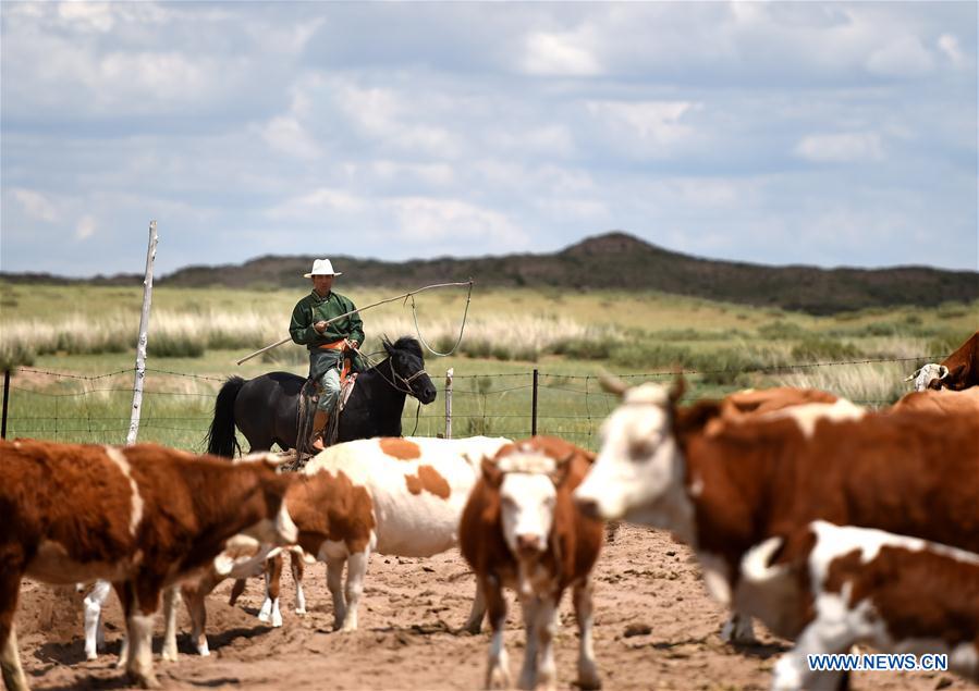 Focus sur le meilleur écosystème de la Mongolie intérieure