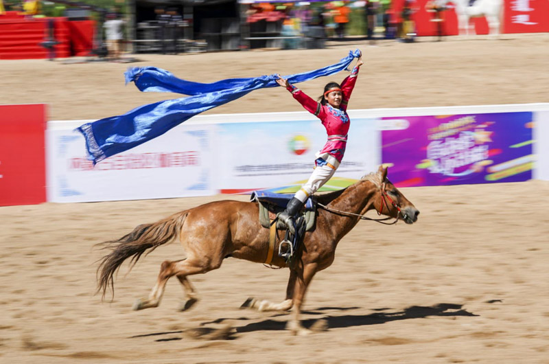 Un festival équestre à Hohhot