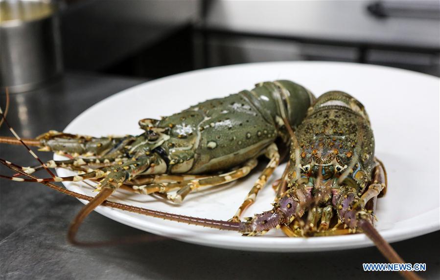 Les fruits de mer du Pakistan très populaires en Chine