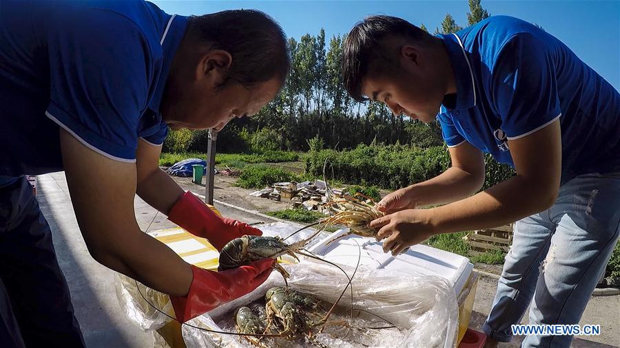 Les fruits de mer du Pakistan très populaires en Chine