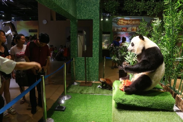 Dalian : un premier Musée d'anatomie dédié au panda géant