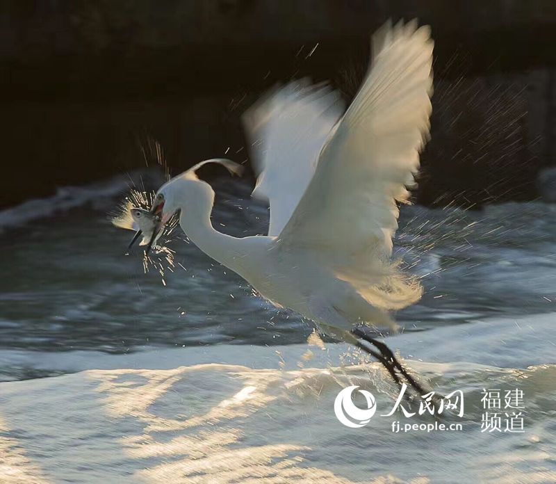 A la découverte de la beauté de Xiamen