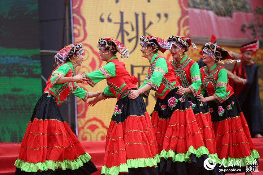 Dans le Yunnan, des agriculteurs cultivent des noyers pour sortir de la pauvreté