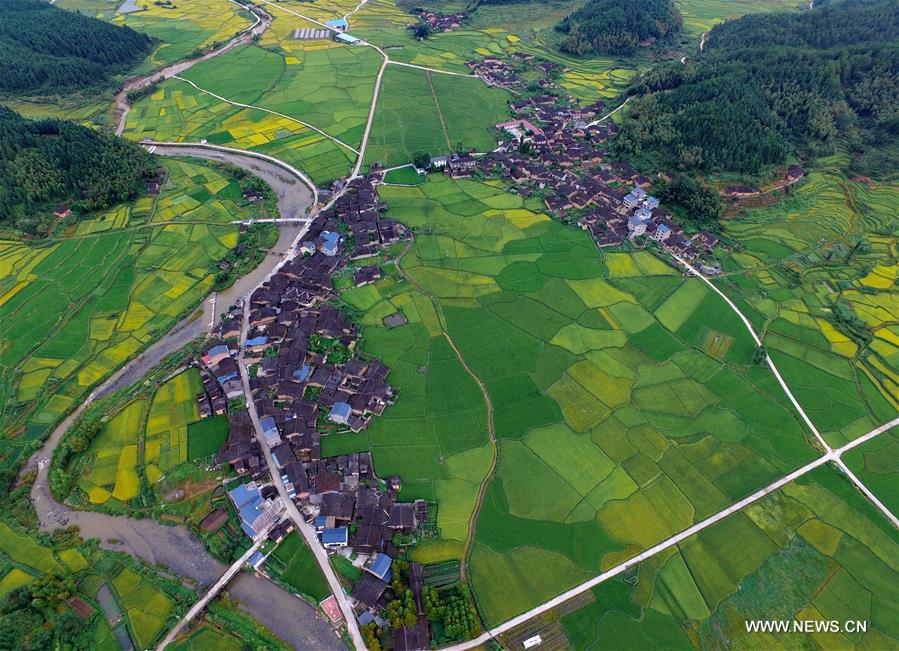 Paysages de terrasses dans le Fujian