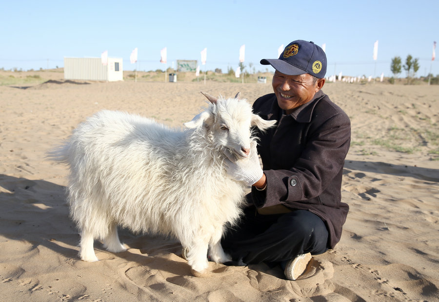 Le désert de Kubuqi, de dunes de sable stériles à paradis enchanteur