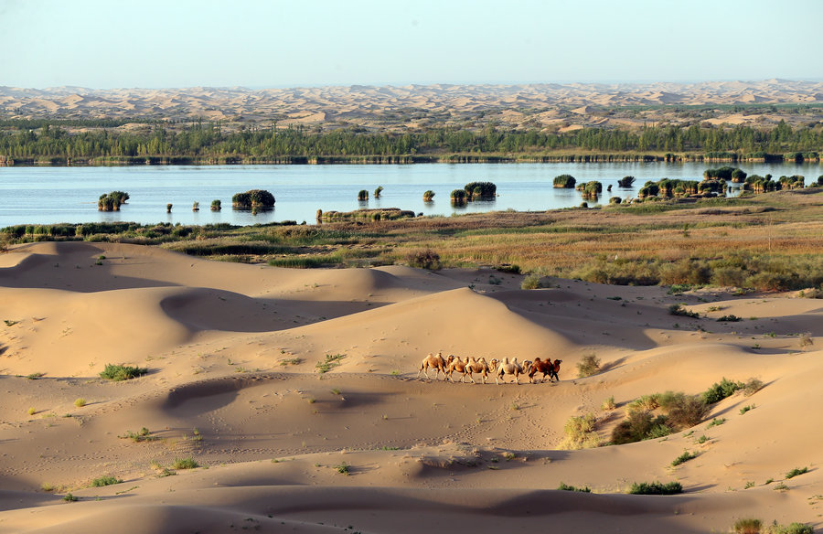 Le désert de Kubuqi, de dunes de sable stériles à paradis enchanteur