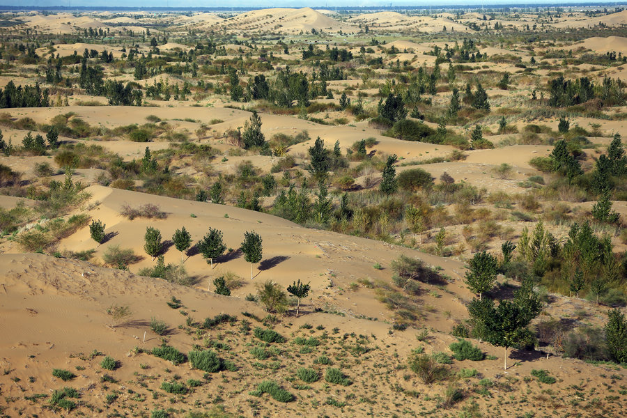 Le désert de Kubuqi, de dunes de sable stériles à paradis enchanteur