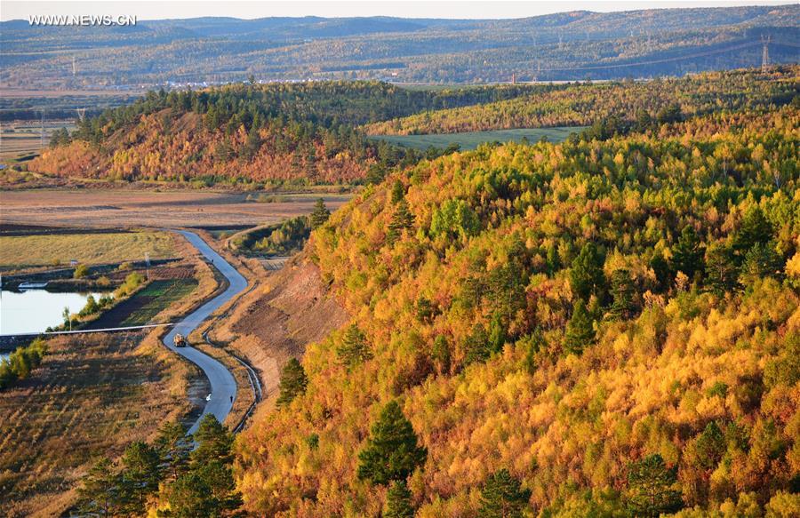 Saison colorée dans le Heilongjiang