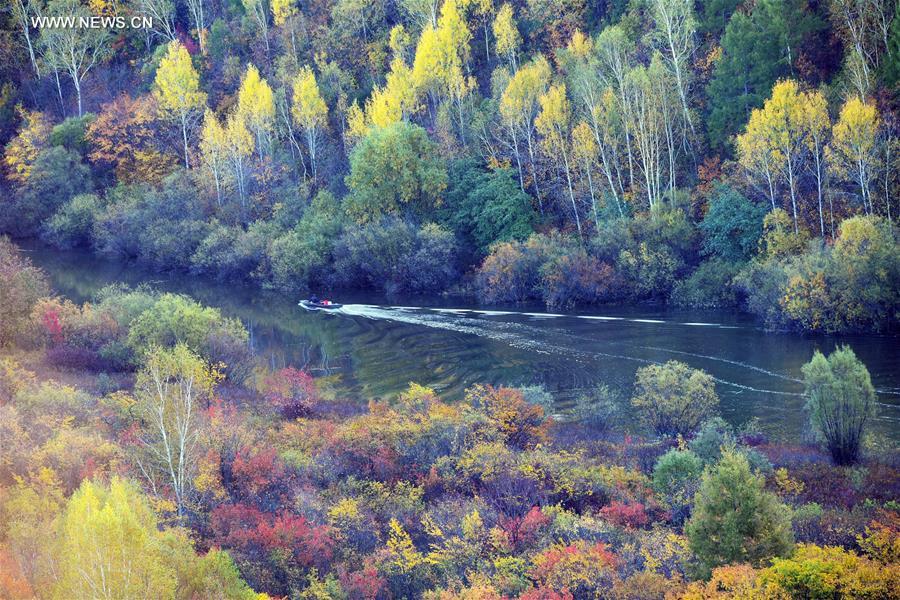 Saison colorée dans le Heilongjiang