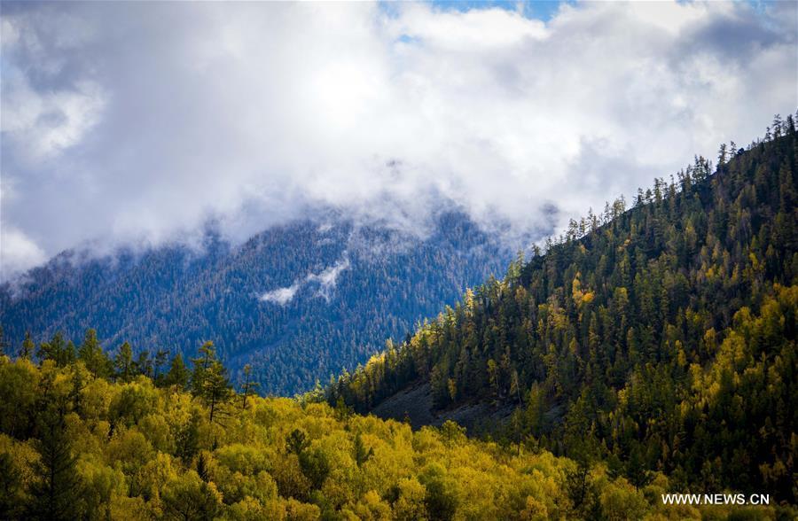 La beauté du Xinjiang en automne