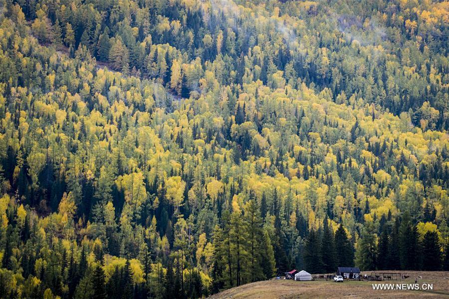 La beauté du Xinjiang en automne