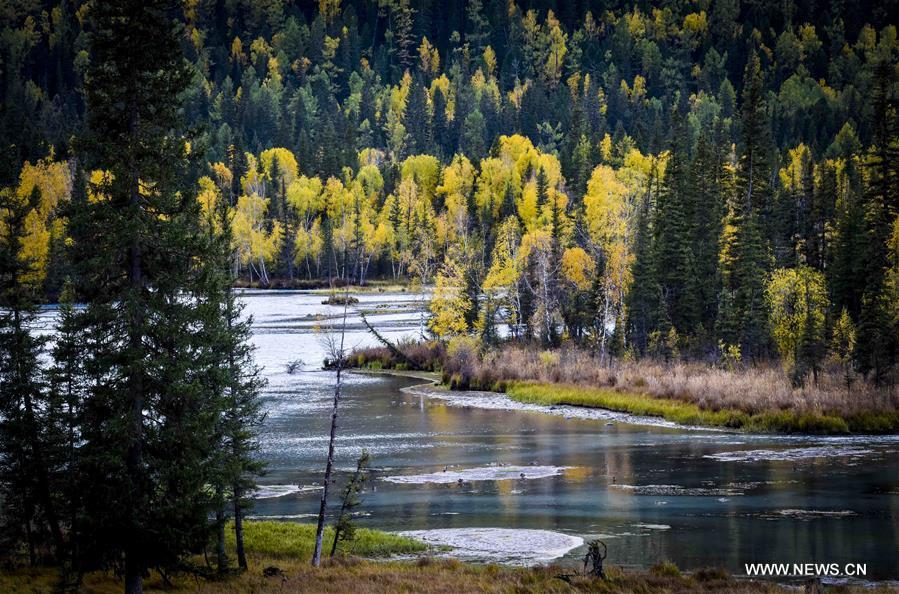 La beauté du Xinjiang en automne