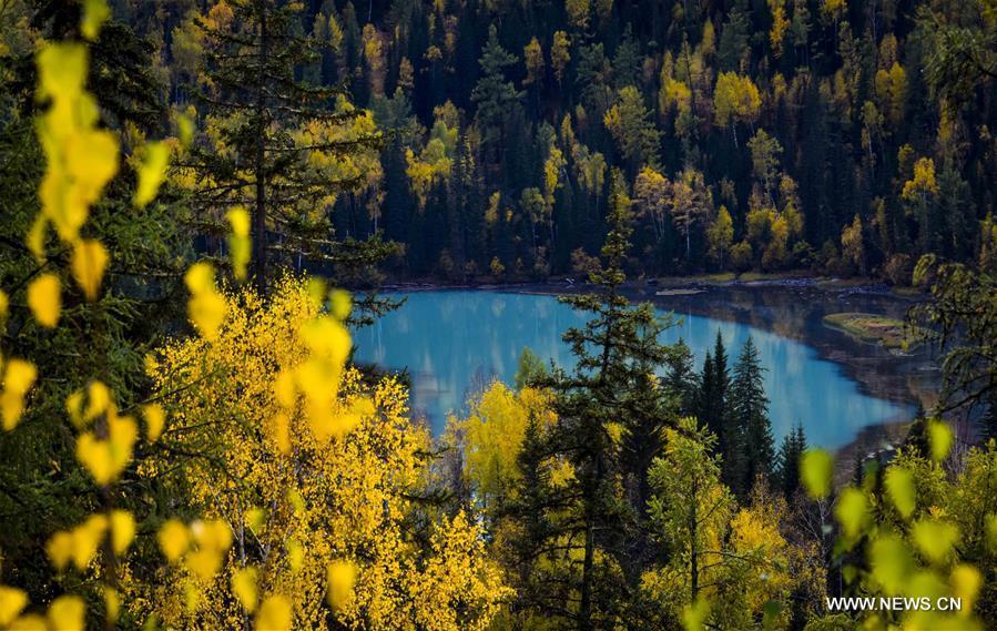 La beauté du Xinjiang en automne