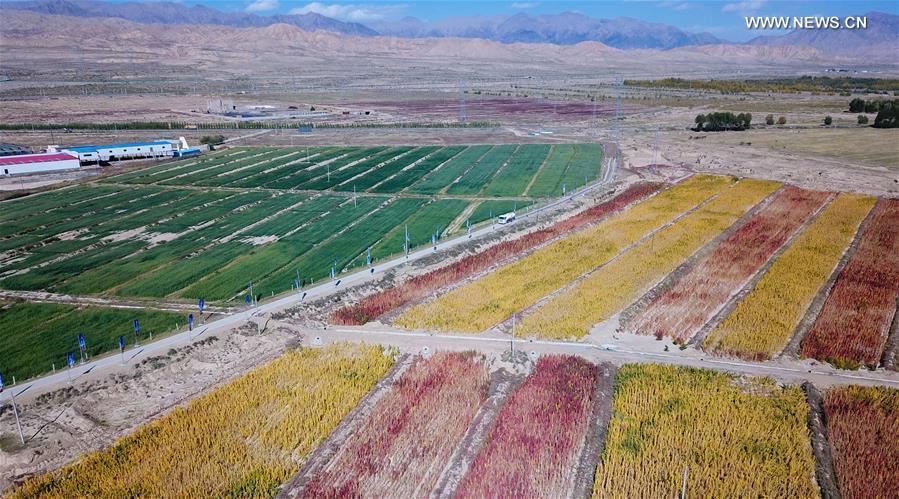 Paysages d'automne dans le Qinghai 