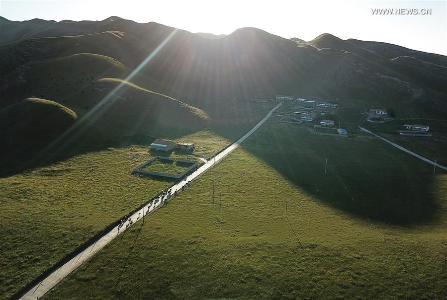 Paysages d'automne dans le Qinghai 